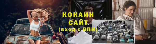 прущие крисы Вязьма
