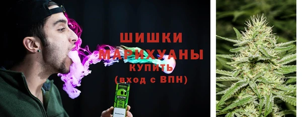 apvp Володарск