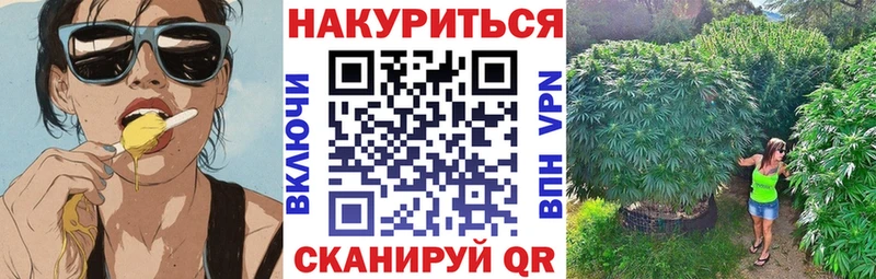 мега ссылка Ильский Шишки марихуана White Widow